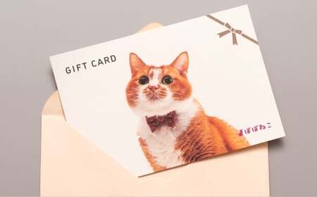 ぽぽねこギフト券（封筒タイプ）3,000円分「共通返礼品」 商品券 オンラインショップ 猫 ネコ