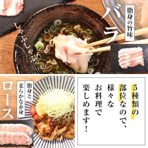 鹿児島黒豚1頭買い!いろんな部位食べ比べ 計1.5kg a5-236