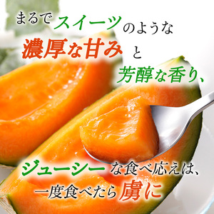 【令和8年産】JAふらの厳選！約2.5kg×1玉 赤肉メロン メロン めろん 富良野メロン 果物 くだもの フルーツ 富良野 デザート 北海道 国産 上富良野産 北海道産 食後 来客 北海道メロン