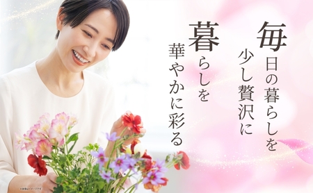 ＜2026年7月～11月まで5ヵ月連続お届け＞北海道 花 詰め合わせ 4品種 20本以上 切り花 切花 花束 ブーケ 季節 旬 生花 フラワー アレンジメント 記念日 産地直送 