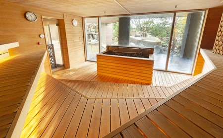 洞爺湖万世閣ホテルレイクサイドテラス ロウリュサウナ日帰り・夕食付 1名様分 お食事券 チケット 温泉利用券 