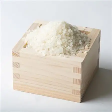 満点コシヒカリ　10kg(5kg×2)_ コシヒカリ 米 こしひかり_【1017726】
