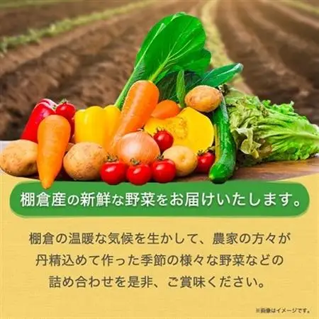 旬の野菜詰め合わせセット(石安米肥店)_おまかせ 詰め合わせ 旬 旬野菜 季節の野菜 新鮮 産地直送 産直野菜 人気 美味しい 送料無料_【配送不可地域：離島】【1017731】