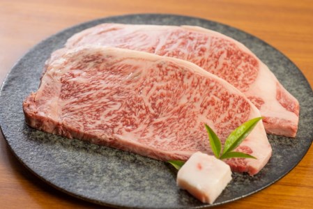 白川郷 飛騨牛 サーロイン ステーキ 200g×2枚 計400g ステーキ [S370]