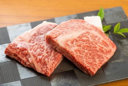 白川郷 飛騨牛 リブロース ステーキ 200g×4枚 計800g ステーキ [S375]