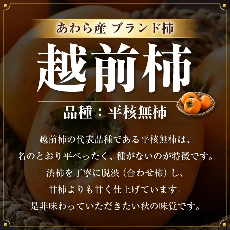 【先行予約】越前柿 16個入 約2.5kg（M～2L）≪JA受賞歴親子２代≫ ／ 果物 フルーツ 柿 産地直送 期間限定 あわら ※2026年11月上旬より順次発送 [aw061-a003]
