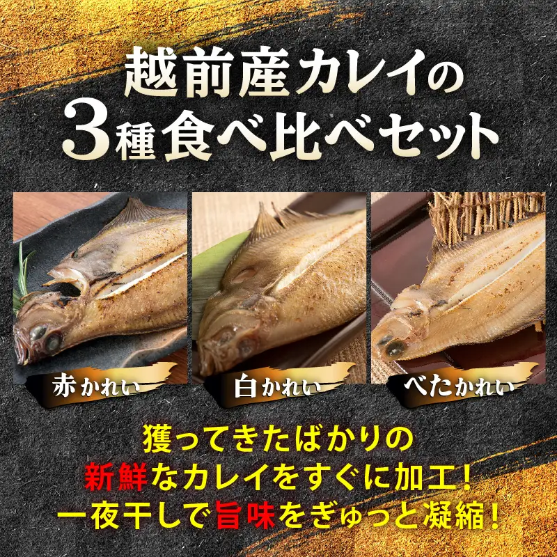 越前産 かれい「一夜干しカレイ3種セット（合計6～9尾）」【かれい カレイ 鰈】 [e15-a001]