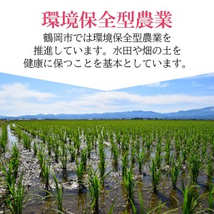 【令和7年産】特別栽培米 つや姫 乾式無洗米 10kg（5kg×2袋）山形県鶴岡市産　有限会社コープスター会　| 米 こめ コメ 10キロ ブランド米 庄内米 ごはん ご飯 美味しい 国産 おすすめ 人気 お取り寄せ 返礼品