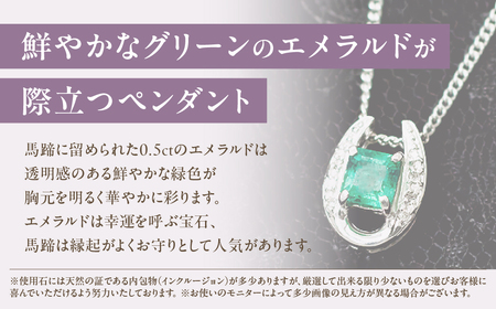 エメラルド ペンダント 0.5ct 0.5カラット PT100 プラチナ100 馬蹄 Ag900（24118） [山梨 ペンダント ネックレス エメラルド プラチナ ジュエリー ダイヤモンド ] 山梨県 甲斐市 BR-49