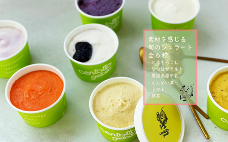 信濃町の旬野菜でつくるジェラート6種｜信濃町の人気店 野菜ジェラートチェントット【長野県信濃町ふるさと納税】