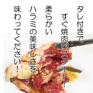 [お肉屋さんオリジナル] 自家製ハラミダレ 800g (200g×4パック) [0441]