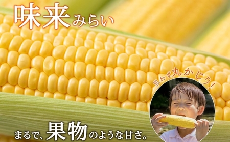 【 2026年 発送 】 北海道産 とうもろこし 2種 計24本 L-2L サイズ混合 味来 ロイシーコーン 食べ比べ セット 旬 朝採り 新鮮 トウモロコシ とうきび お取り寄せ 産地直送 野菜 しりべしや 送料無料 