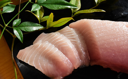 ビンチョウマグロ 脂柵 3柵（約600g）【配送不可：離島】 魚貝類 魚 刺身用 刺身用柵 つまみ 肴 お酒のあて 刺身 手巻き寿司 寿司 具材 後味の良い脂 