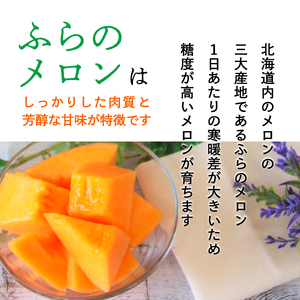 2026年夏発送  メロン 北海道 ふらの 赤肉メロン 約2.5kg×1玉 JAふらの 厳選 産地直送 赤肉 富良野メロン フルーツ 果物 果実 旬 旬のくだもの デザート おやつ めろん 富良野 