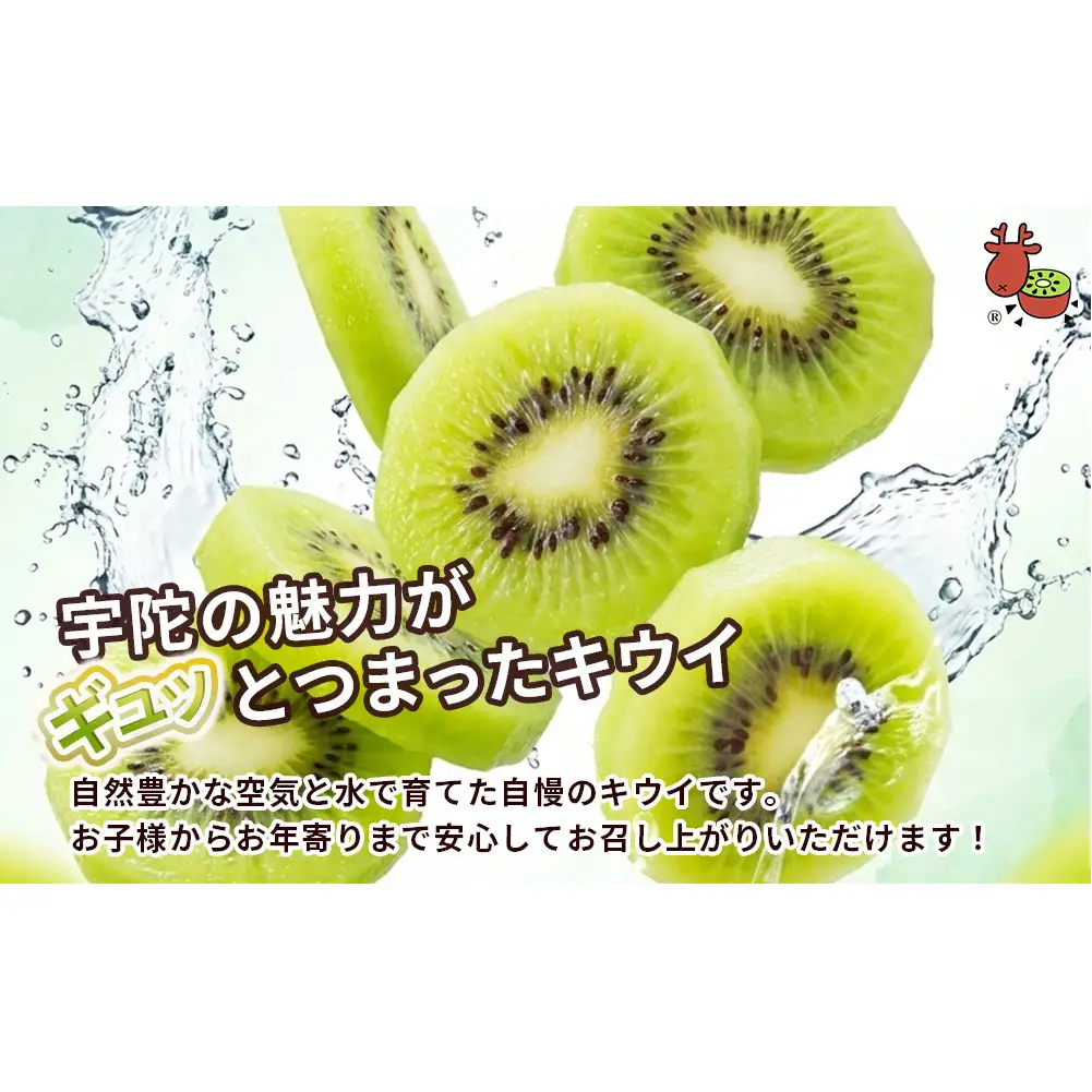 ＜2026年12月～3月順次発送＞プレミアム キウイ フルーツ Mサイズ 17個入 追熟処理済 ／ ふるさと納税 キウイ キウイフルーツ ギフト 栄養 果物 お土産 化学肥料不使用 特別栽培 塩 奈良県 宇陀市 やまとファームJAPAN