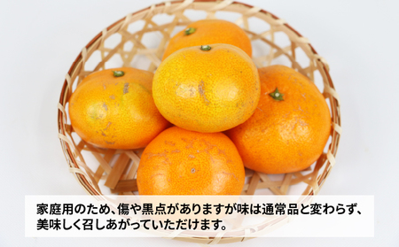 【ご家庭用】早生温州9kg玉津柑橘倶楽部みかん|B010-072001