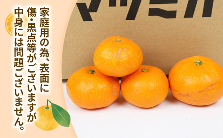 南柑20号 みかん 9kg 家庭用 玉津柑橘倶楽部 温州みかん 【 みかん 愛媛 】 B010-072002