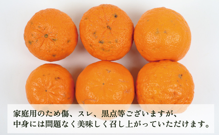  【宇和島産ポンカン】冬の柑橘 ポンカン 9kg 玉津柑橘 B010-072003