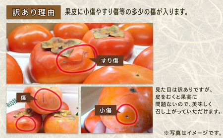 【2026年収穫分】 訳あり 柿 次郎柿 5kg 末光農園 F012-118001