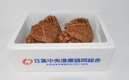 ＜冷凍＞漁協の浜ゆで毛がに 大サイズ2尾セット [02-778]