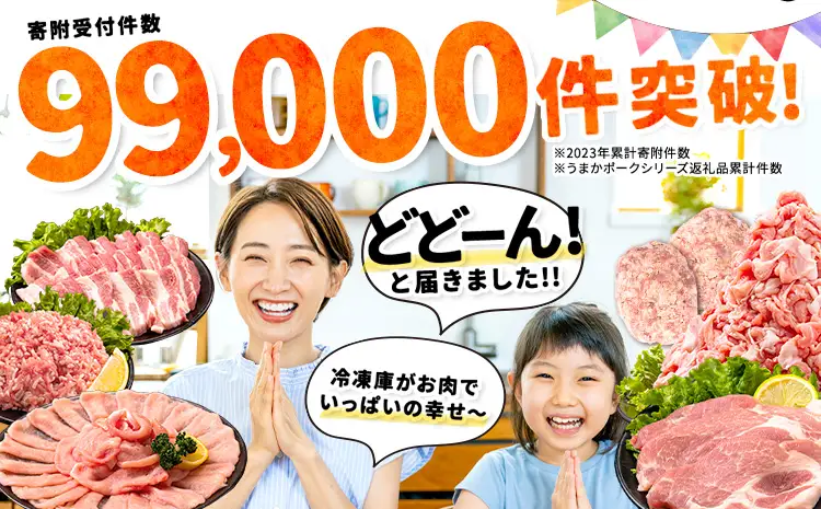 豚肉 バラエティセット 4.6kg 豚肉 バラ肉《7-14日以内に出荷予定(土日祝を除く)》