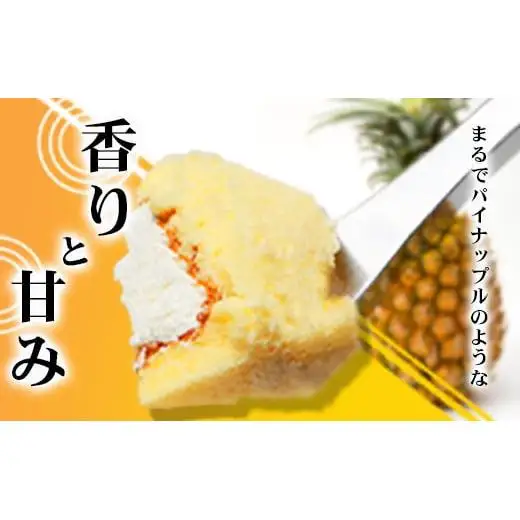  【石垣島産 パイン 100%使用】パインロールケーキ 2本【お土産でも大人気のケーキ】パイナップル YN-4-1