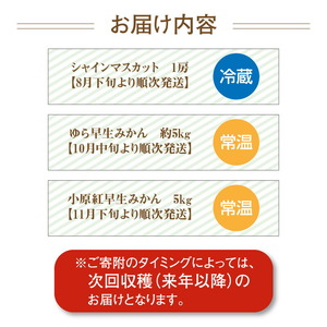 産地厳選三豊のフルーツ3回定期便 I