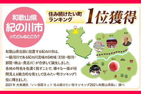和歌山県 紀の川市 応援寄附 1口 1000円【返礼品なし】