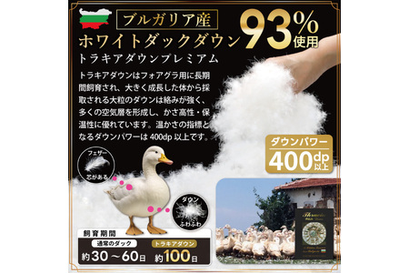【春夏用】洗える羽毛布団 ダブル 肌掛け ダウン 夏 春 ホワイトダックダウン93% 0.5kg ブルガリア産 無地 アイボリー [川村羽毛 山梨県 韮崎市 20745034]