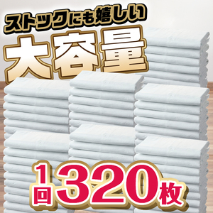 定期便 年3回 ペットシーツ 「消臭炭シート ダブルストップ」 レギュラー 320枚 (80枚×4パック) ×3回 しっかり吸収 消臭 抗菌 厚型 ペットシート トイレシーツ クリーンワン シーズイシハラ 富士市 ペット用品 日用品 [sf002-277]