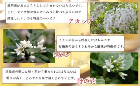 クラウンメロン並【白等級】中玉1玉＋アラキ養蜂園の国産はちみつ【アカシア＋ミカン＋野の花】300g×各1本（合計900g） 果物 メロン青肉 上品な甘み 柔らかな食感 高級メロンブランド 