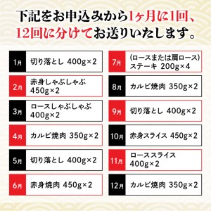 【定期便12回】宮崎牛 匠のよくばり堪能コース N0140-YI031