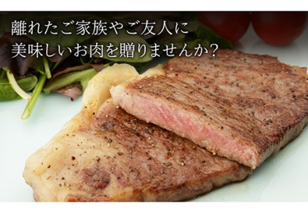 牛肉切り落とし 600g(300g×2) NAC012 牛肉
