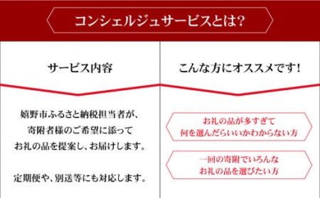 コンシェルジュ100万円プラン NZY002 