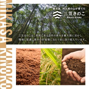 国産のえのきやきのこ使用！濃いきのこの炊き込みご飯の素(2合用×3袋)国産 九州産 鹿児島産 きのこ えのき 炊き込みご飯【三笠えのき茸生産組合】akn010-02