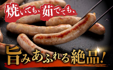 【全6回定期便】本場ドイツで連続金賞受賞！おすすめ ギフト セット ( ハム / ソーセージ / ウインナー )《糸島》【糸島手造りハム】[AAC014]