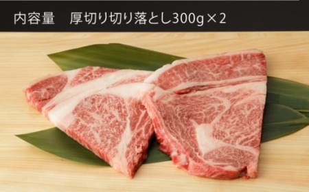 【定期便】牛肉切り落とし 600g NAC126 牛肉 全6回