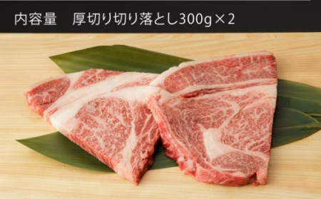 【定期便】牛肉切り落とし 600g NAC127 牛肉 全12回