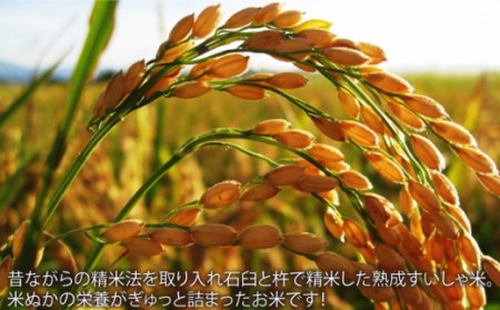 【定期便】 白米 令和7年産ヒノヒカリ5kg NAO059 全12回 白米
