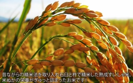 【定期便】 白米 令和7年産ヒノヒカリ10kg NAO062 全12回 白米