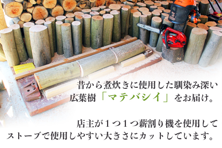 【千葉県富津産】十六代目儀右エ門の薪「マテバシイ」約20kg（未乾燥）