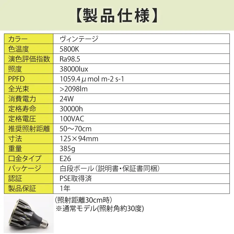 BN012-1　お部屋の癒し　観葉植物「アガベ（小島白刺）」と植物育成ライト「ヘリオスグリーンLED（ヴィンテージ）」の2点セット