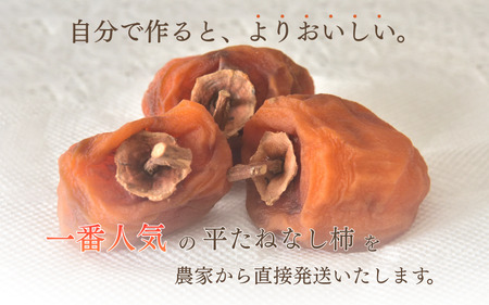 柿 吊るし柿用たね無渋柿 T軸又はクリップ付紐付 約1.5～2kg　約6～12個【2026年10月中旬～11月上旬ごろ順次発送】【ART11】【G211-art017B】