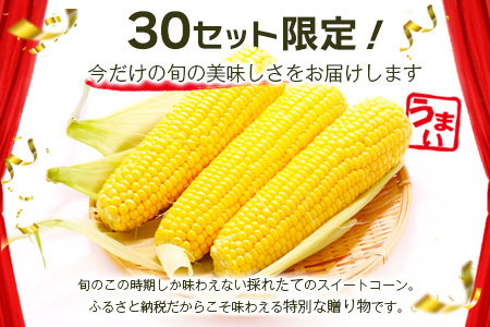 予約受付【限定30セット】 スイートコーン （ゴールドラッシュ） 10～12本入 朝採れ とうもろこし トウモロコシ 野菜 糖度17~18℃以上 鹿島市産 佐賀県産 春 夏 旬【2025年6月上旬～順次発送】 B-319