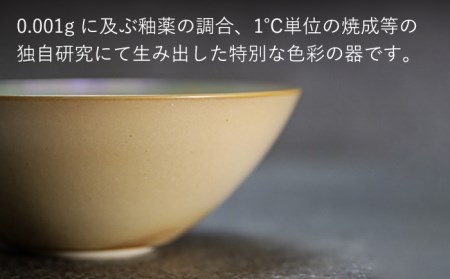 【美濃焼】bowl -albus- M【陶芸家・宮下将太】食器 鉢 ボウル 副菜鉢 サラダボウル デザートボウル シンプル おしゃれ 陶芸家 芸術 インテリア ギフト プレゼント 贈り物 レンジ対応 白色 ホワイト アイボリー エクリュ 送料無料[MDL010]