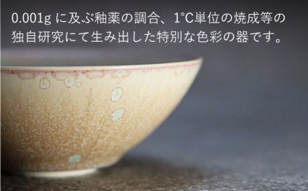 【美濃焼】bowl -victor- S【陶芸家・宮下将太】食器 鉢 ボウル 副菜鉢 サラダボウル デザートボウル シンプル おしゃれ 陶芸家 芸術 インテリア ギフト プレゼント 贈り物 レンジ対応 ベージュ アイボリー エクリュ 送料無料[MDL029]