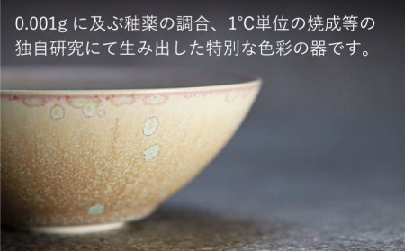 【美濃焼】bowl -victor- M【陶芸家・宮下将太】食器 鉢 ボウル 副菜鉢 サラダボウル デザートボウル シンプル おしゃれ 陶芸家 芸術 インテリア ギフト プレゼント 贈り物 レンジ対応 ベージュ アイボリー エクリュ 送料無料[MDL030]