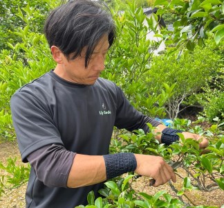 【要・お申込前ご連絡】お庭のお手入れ(作業地：日向市内限定)《1日7時間程度》[宮崎県 日向市 85-01-(25)]
