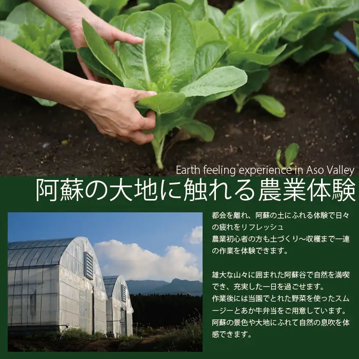 阿蘇蔵農園 阿蘇のカルデラで農業体験＆お散歩 野菜スムージー・お弁当あり