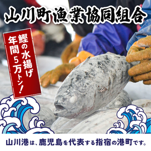 6種のすり身 300g×各2本 計3.6kg セット 山川町漁協 IB039-007 すり身 すり身 